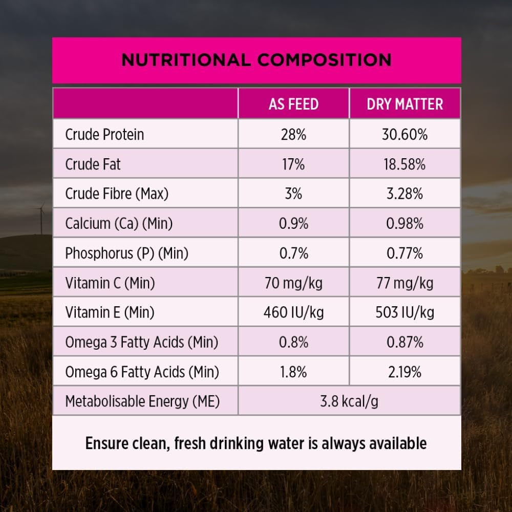 PRO PLAN Adult Dry Dog Food Medium and Large Breeds Salmon and Mackerel 12Kg